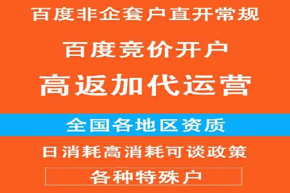 SEM代理案例：优化策略助力企业增长